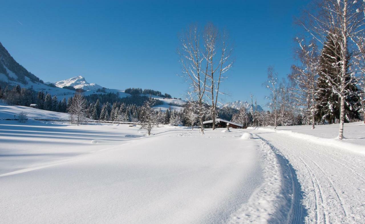 Ferienwohnung Simair Sankt Ulrich am Pillersee Luaran gambar